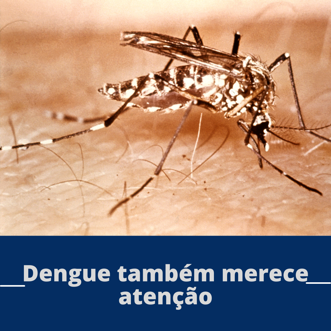 Atenção para a Dengue