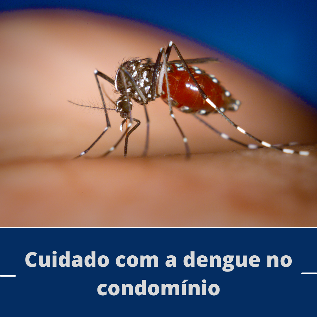 Cuidado com a dengue no condomínio