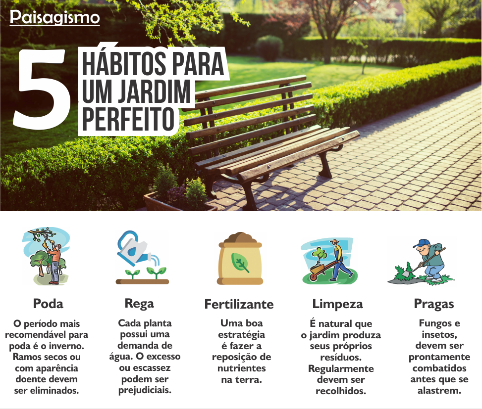 5 Hábitos para um jardim perfeito