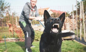 Tutor deve ser responsabilizado por ataque de cães contra moradores em condomínio