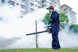 Aumento dos casos de dengue coloca estados brasileiros em alerta